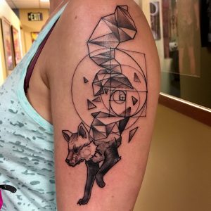 fox by david spataro